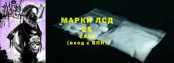 прущие грибы Алзамай