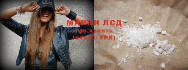 прущие грибы Алзамай
