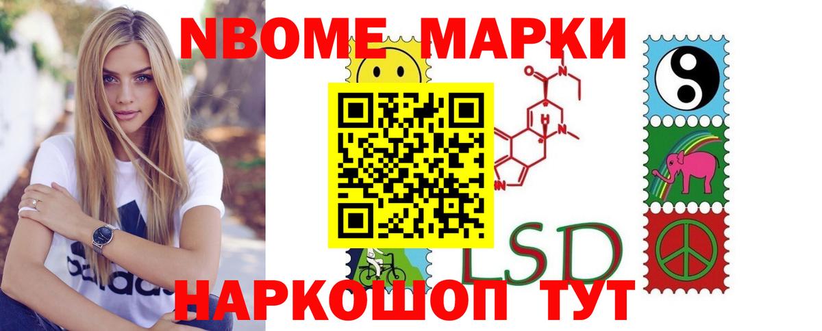 APVP Кингисепп