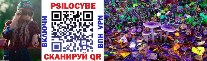 Псилоцибиновые грибы Cubensis  Кингисепп 