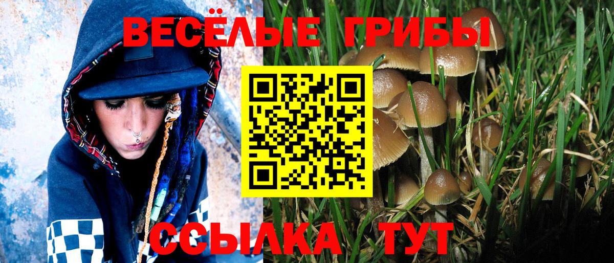 Галлюциногенные грибы ЛСД  Псилоцибиновые грибы GOLDEN TEACHER  Вход с VPN  Кингисепп 