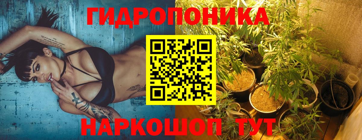 Каннабис VHQ  Канабис Amnesia  Канабис конопля  Марихуана тримм  Вход с VPN  Кингисепп 